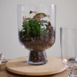 Clear Glass Reservoir Terrarium Footed Vase - 13 inch Tall