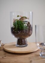 Clear Glass Reservoir Terrarium Footed Vase - 13 inch Tall