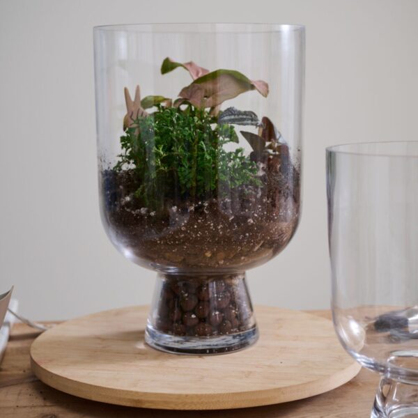 Clear Glass Reservoir Terrarium Footed Vase - 13 inch Tall