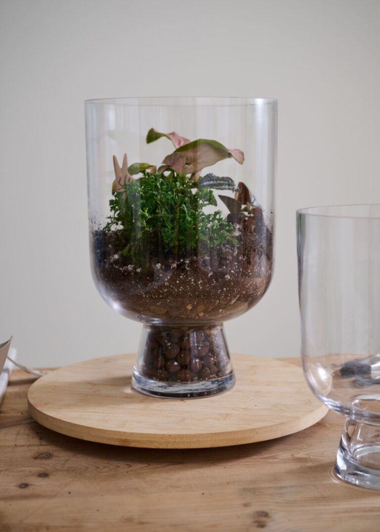 Clear Glass Reservoir Terrarium Footed Vase - 13 inch Tall