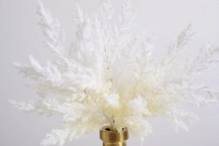 Close-up of vase silhouette detail on this Bleached Pampas Grass Arrangement Glass Bud Vase