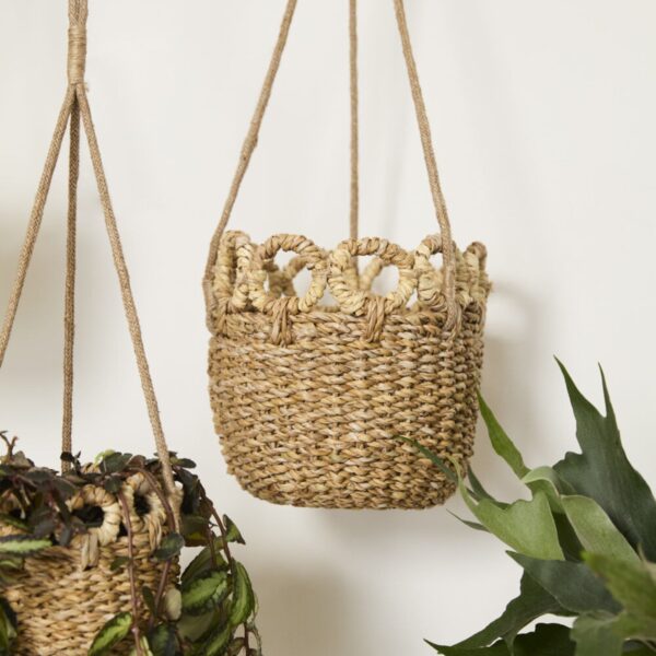 Close-up of leaf foliage texture on this Handmade Woven Seagrass Hanging Plant Hanging Plant Basket