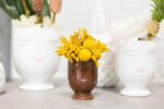 The Small Selfie Diva Pot - 3 Skin Tones shown in full, highlighting full plant
