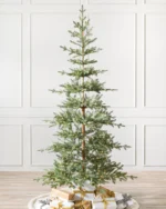 Alpine Balsam Fir