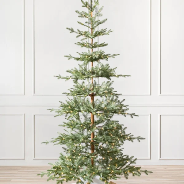 Alpine Balsam Fir