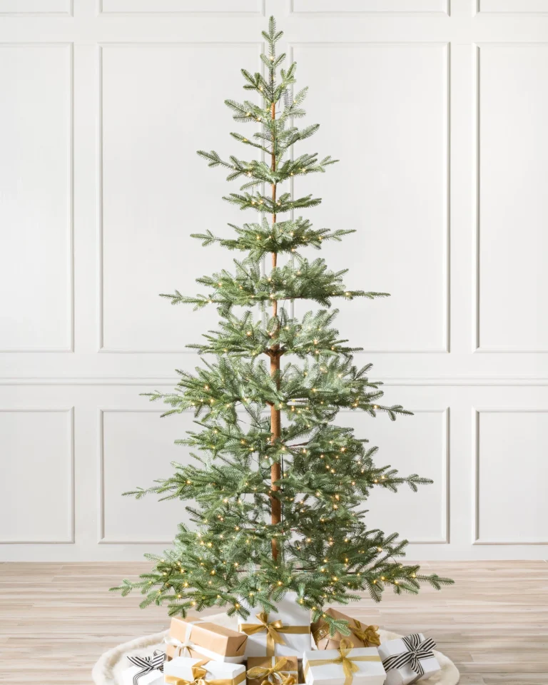 Alpine Balsam Fir