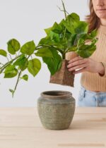 Close-up of vase silhouette detail on this Reusable All Natural Agra - Wool Natural Floral