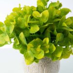 Side view of the Herbs de Provence - French Faux Plant Arrangement revealing frond and