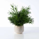 The Herbs de Provence - French Faux Plant Arrangement shown in full, highlighting branch layering