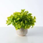 Close-up detail capturing leaf foliage texture of the Herbs de Provence - French Faux Plant
