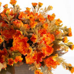 Side view of the Mini Mum Fall Farm House Window Box Planter revealing frond and