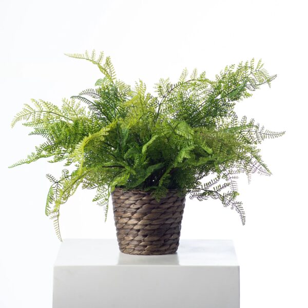 Lace Fern Faux Plant Everyday Spring Arrangement in Woven Basket - Green
