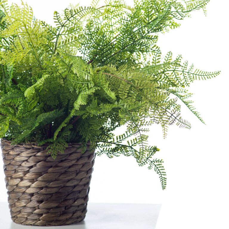 Close-up of leaf foliage texture on this Lace Fern Faux Plant Everyday Woven Basket