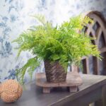 Alternate angle of the Lace Fern Faux Plant Everyday Woven Basket showing full plant from