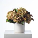 Alternate angle of the Sage Green Hydrangea and Real Farmhouse Style Vase showing bloom arrangement