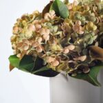 Close-up of vase silhouette detail on this Sage Green Hydrangea and Real Farmhouse Style Vase