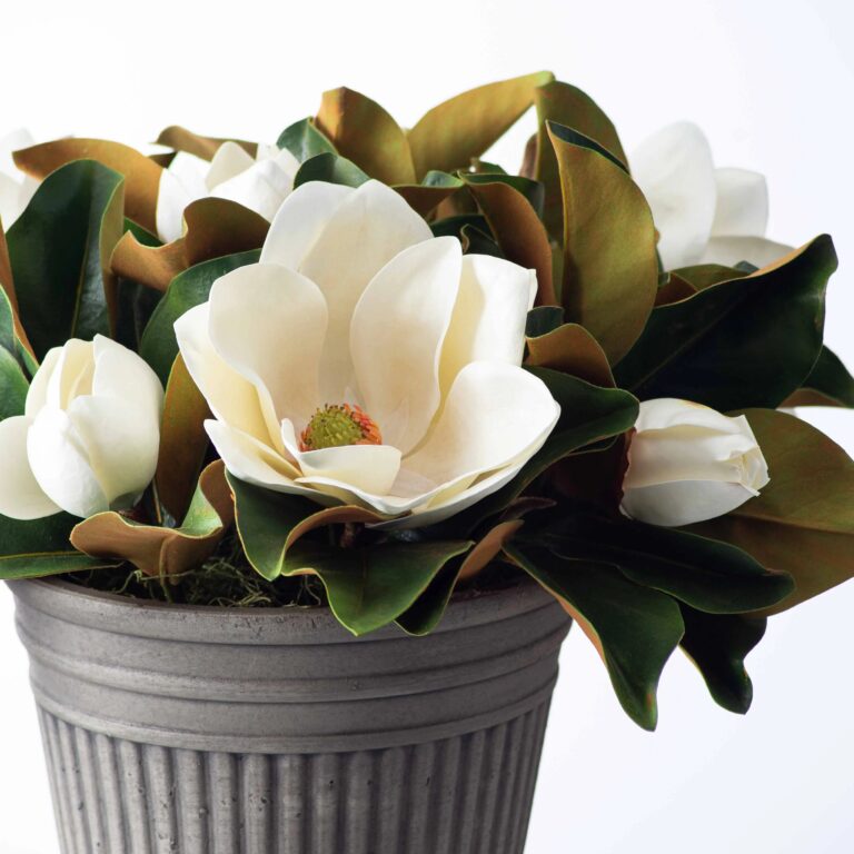 Close-up of bloom cluster detail on this Real Touch Magnolia Buds Filler Everyday Arrangement Front
