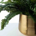 Close-up of leaf foliage texture on this Lifelike Boston Fern In Gold Etched Tulum Pot