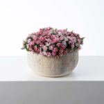 Real Touch White and Pink Mini Dianthus Wild Flowers Summer Centerpiece Arrangement
