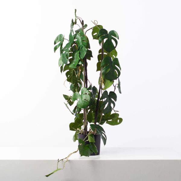 Green Split Leaf Monstera Faux House Plant Arrangement In Black Drop In Pot
