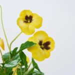 Full display view of the Lifelike Pansy Faux Floral Arrangement Faux Floral Arrangement with full