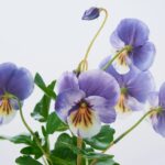The Lifelike Pansy Faux Floral Arrangement Faux Floral Arrangement shown in full, highlighting branch layering