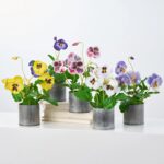 Second angle of the Lifelike Pansy Faux Floral Arrangement Faux Floral Arrangement focusing on leaf