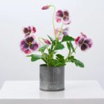 Full display view of the Lifelike Pansy Faux Floral Arrangement Faux Floral Arrangement with frond