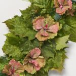 Alternate angle of the Garden of Eden - Grapevine Centerpiece Swag Arrangement showing full swag