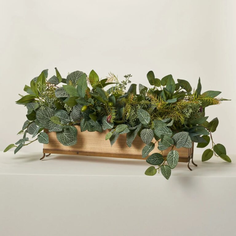 Lush Layers - Fittonia Vines, Olive Branch and Fern Table Centerpiece Arrangement