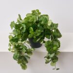 Alternate angle of the Hanging French Begonia Vine All Everyday Outdoor Urn showing full arrangement
