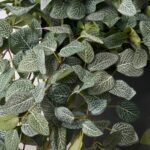 Side view of the Hanging Fittonia Bush All Season Everyday Outdoor Urn revealing full arrangement