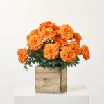 Alternate angle of the Faux Marigold Blooms Arrangement Small Planter Box showing full plant from