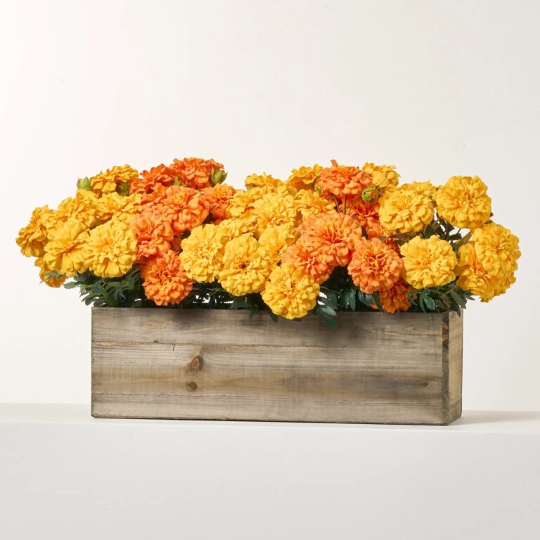 Mixed Orange and Yellow Marigold Blooms Arrangement in Large Wood Planter Box