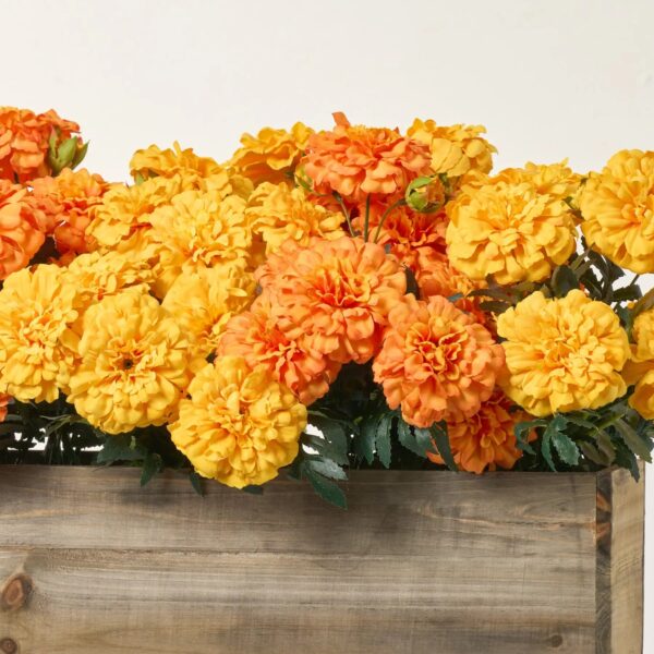 Close-up of leaf foliage texture on this Mixed Orange and Yellow Marigold Large Wood Planter