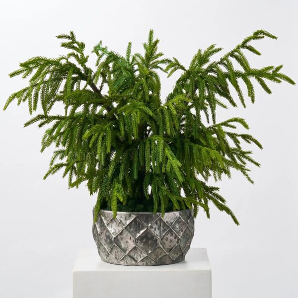 Real Touch Norfolk Tree Faux Potted Plant in Galvanized Bowl Large Centerpiece Arrangement