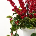 Close-up of bloom cluster detail on this Lifelike Holly Leaf and Red Christmas Holiday Arrangement