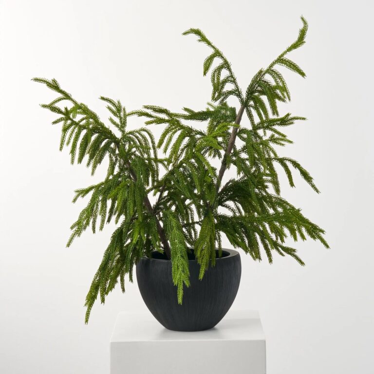 Real Touch Norfolk Topiary Tree in Black Textured Planter Pot Winter Christmas Centerpiece Arrangement