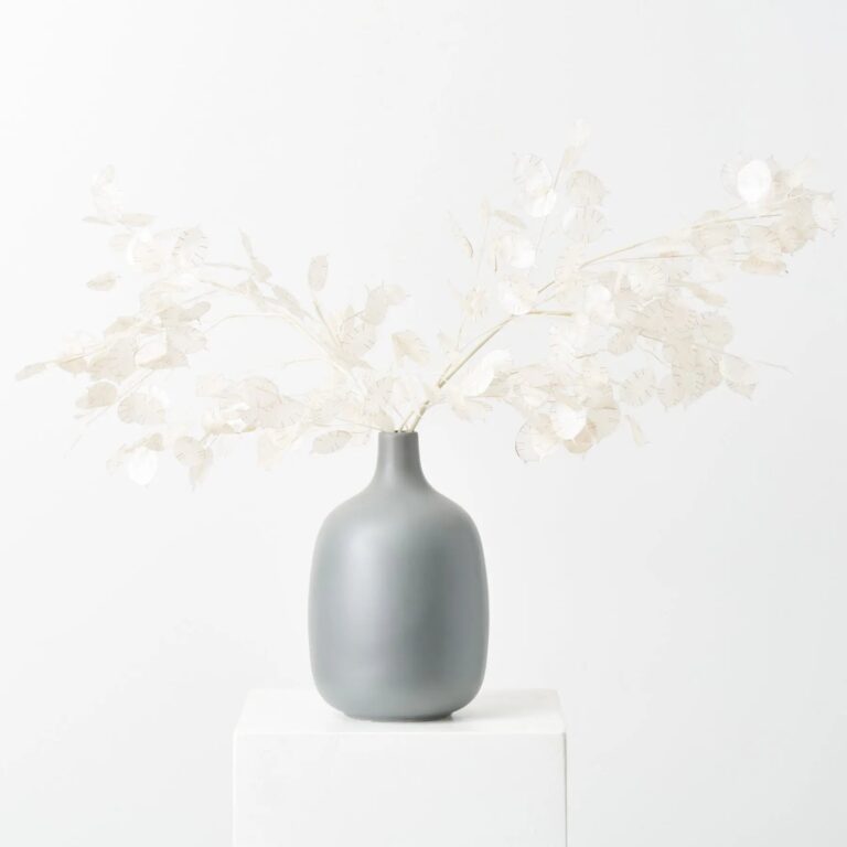 Dried Look Translucent Cream Lunaria Branches in Grey Matte Vase Everyday Arrangement - Translucent Cream