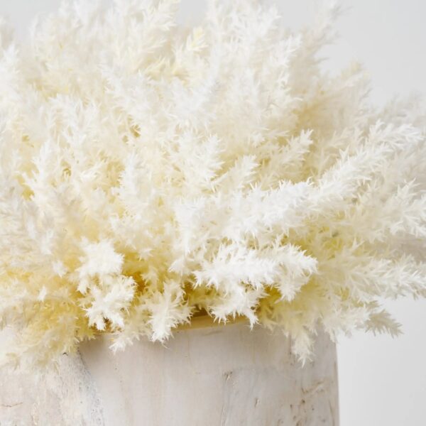 Close-up of bloom cluster detail on this Faux Bleached Ivory Cream Pampas Everyday Centerpiece Arrangement