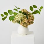 Alternate angle of the Classic Green Neutral Mix Hydrangea Everyday Centerpiece Arrangement showing bloom arrangement