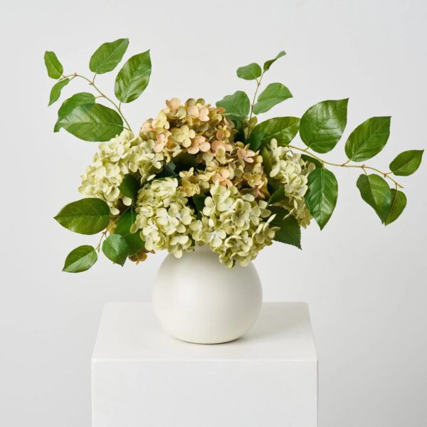Classic Green Neutral Mix Hydrangea with Salal Leaf Everyday Centerpiece Arrangement - Green
