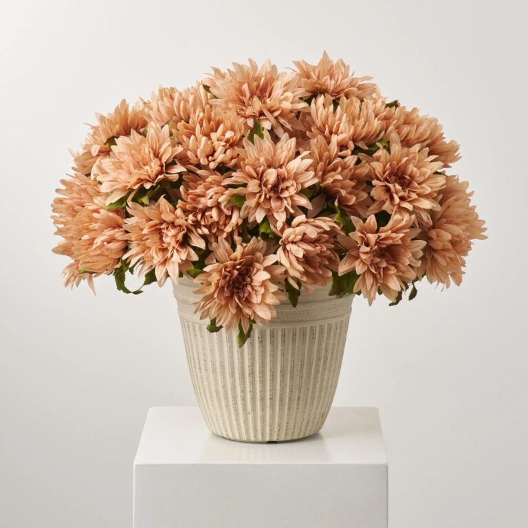 Extra Large Mixed Mocha Dahlia and Mum Blooms Potted Outdoor Fall Urn Filler - Mocha