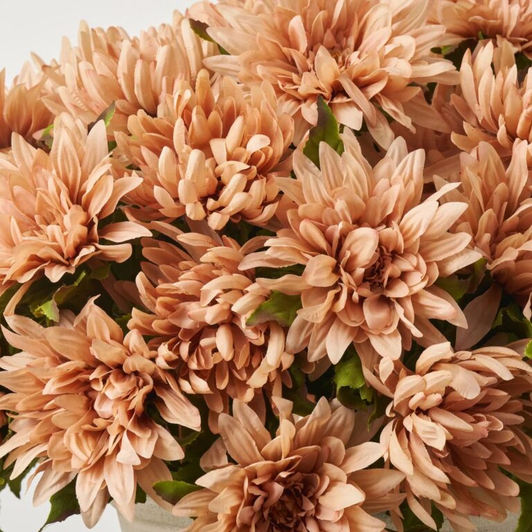 Close-up of bloom cluster detail on this Extra Large Mixed Mocha Dahlia Outdoor Fall Urn