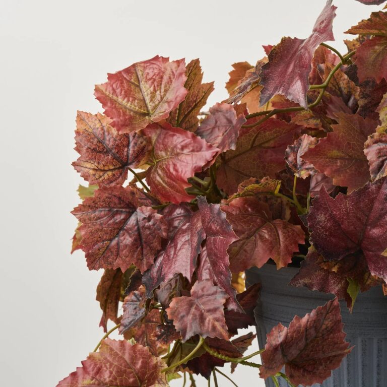 Close-up of bloom cluster detail on this Autumn Grapevine Foliage Burgundy Beetroot Outdoor Fall Urn