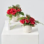 Mini Red Christmas Rose and Juniper Greenery in Cream Holiday Decor Arrangement Set of 2