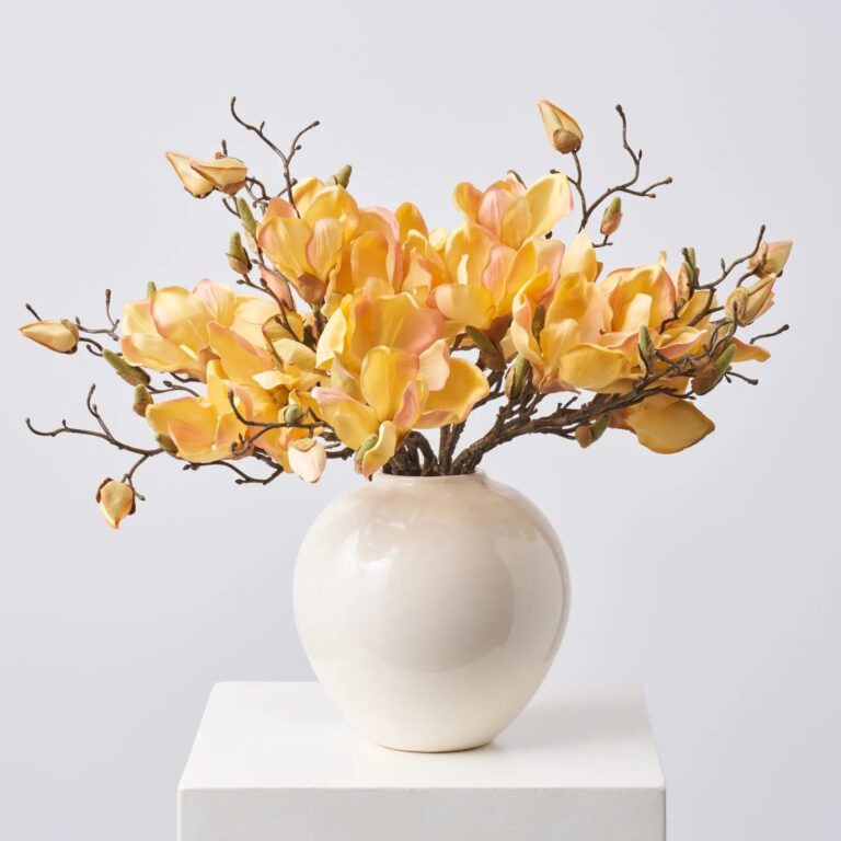 Golden Yellow Magnolia Blooms and Branches in Cream Gloss Ceramic Rounded Vase Everyday Centerpiece Arrangement