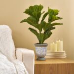 Close-up of leaf foliage texture on this Fiddle Leaf Faux Plant Greenery Spring Arrangement Centerpiece