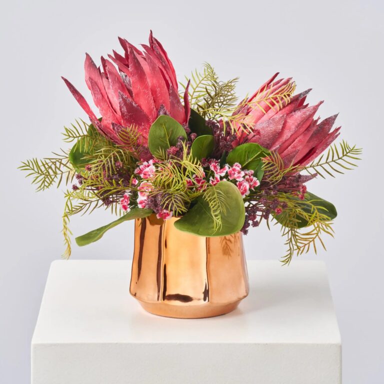 Enchanted Hearts - Burgundy King Protea, Mini Dianthus Bloom Pot Spring Arrangement - Burgundy