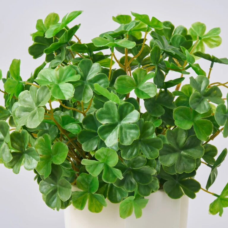 Close-up of leaf foliage texture on this A Bit of Luck Day Spring Arrangement